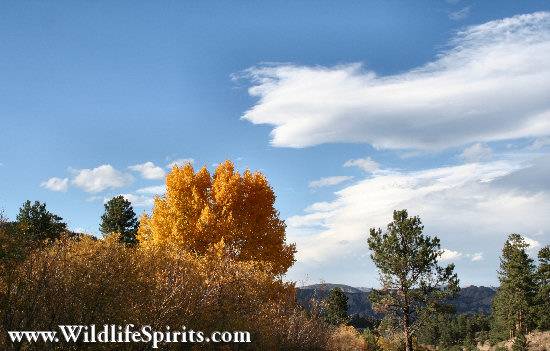 Click Picture to send as an  E-PostCard 58k 550x351